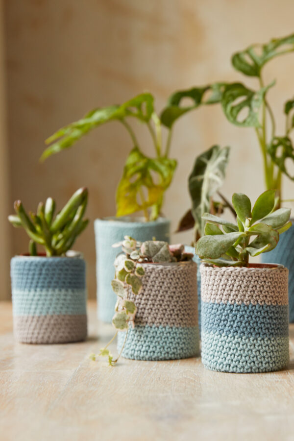 Crochet your own plant pot set Wildwood Cornwall