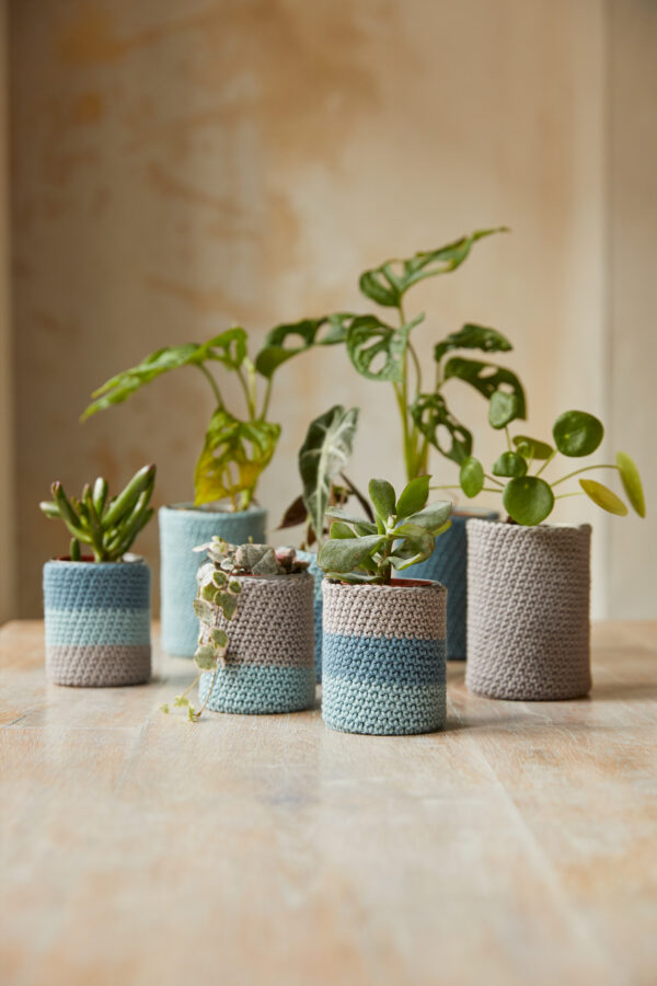 DIY crochet plant pot set Wildwood Cornwall