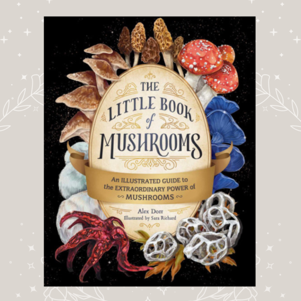 The little book of mushrooms Wildwood Cornwall Alex Dorr