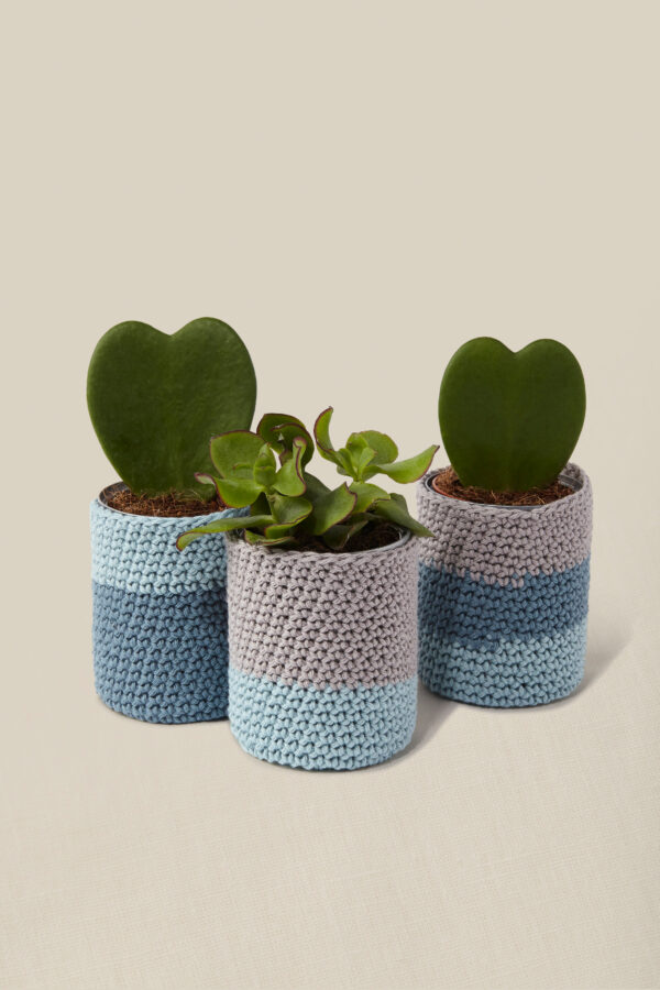 crochet your own plant pot DIY kit Wildwood Cornwall