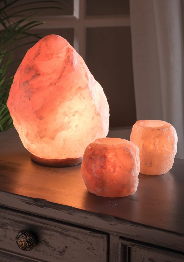 salt lamp wildwood cornwall Bude