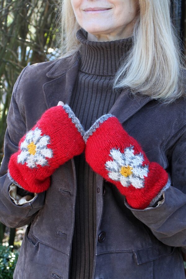 vintage daisy handwarmers red Wildwood cornwall