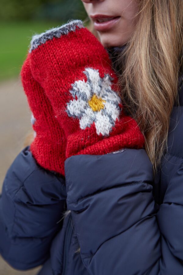 vintage daisy red handwarmers Wildwood cornwall