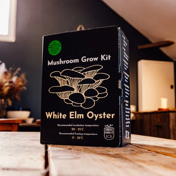 Mushroom grow kit white elm oyster mushroom wildwood cornwall